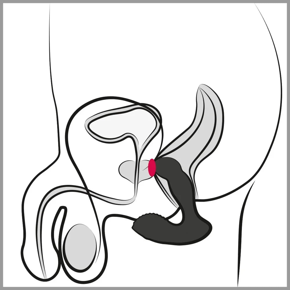 Anatomische Darstellung mit Vibrator für intime Stimulation
