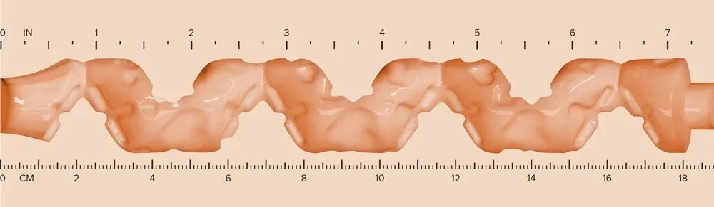 Realistischer Dildo mit wellenförmiger Struktur und Maßangaben in Zoll und cm für intimes Vergnügen