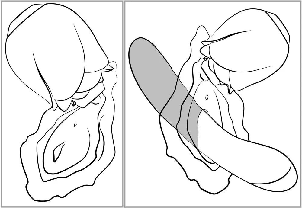 Anatomische Zeichnung mit Vibrator-Einsatz für intime Stimulation