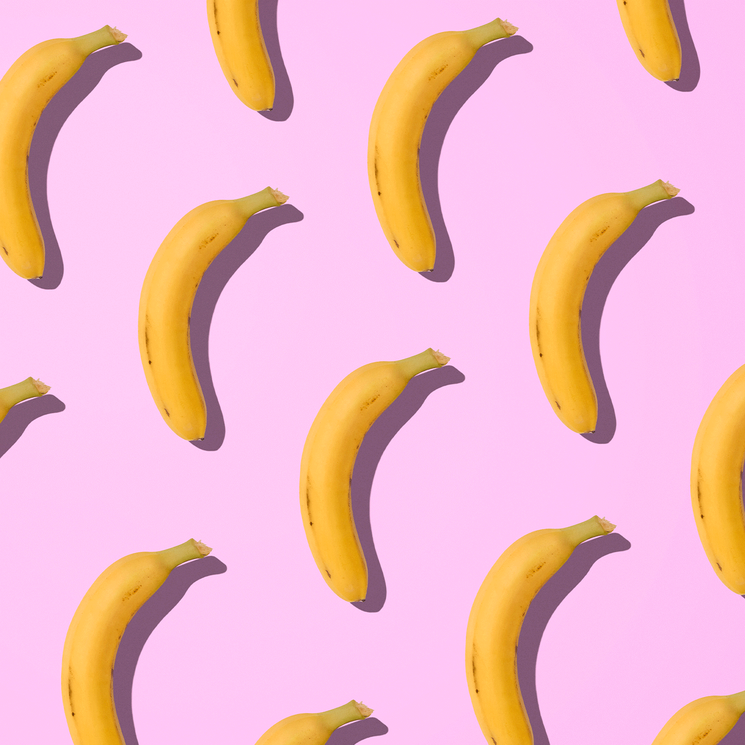 dildos - loveiu.ch
