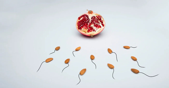 Aufgeschnittener Granatapfel mit Mandeln als Spermien auf weißem Hintergrund, Symbol für Fruchtbarkeit und Sexualität.