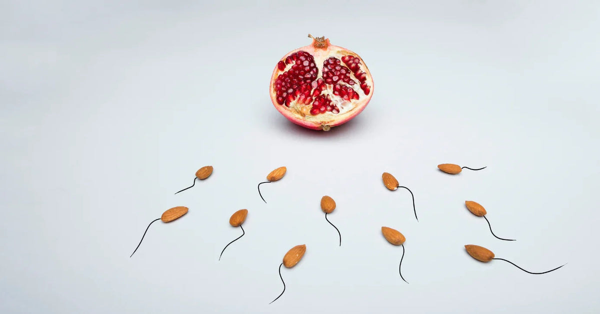 Halber Granatapfel und Mandeln als Spermien auf weißem Hintergrund, Symbolik Fruchtbarkeit, Sexualität