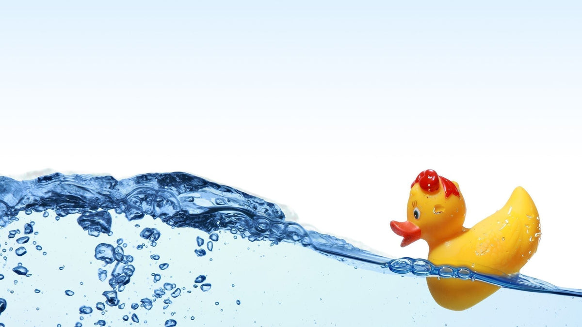 Gelbe Badeente schwimmt auf Wasser, Symbol für wasserdichtes Liebesspielzeug
