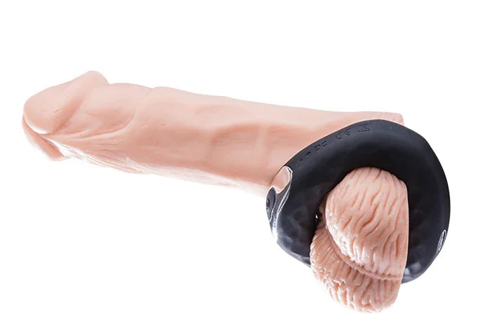 Penisring aus schwarzem Silikon auf realistischem Penis-Modell, Erotikspielzeug